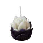 'Lotus'