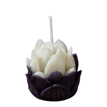 'Lotus'