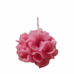 'Hortensia'