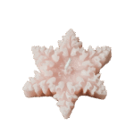'Kerstster'