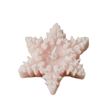 'Kerstster'