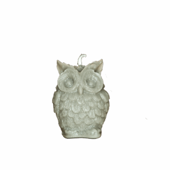 'Meneer de uil'