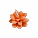 'Bloempje'