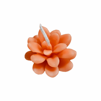 'Bloempje'