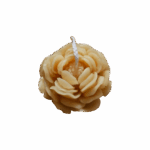 'Pioen'
