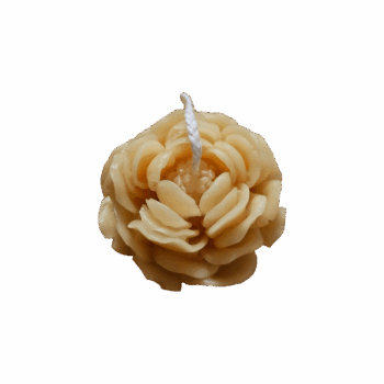 'Pioen'