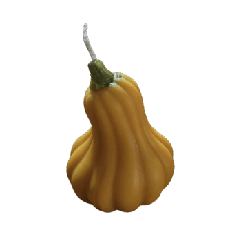 'Butternut' - Afbeelding 2