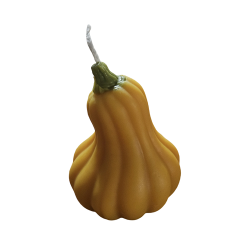 'Butternut' - Image 2