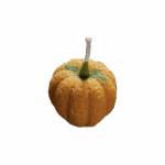 'Pom' klein